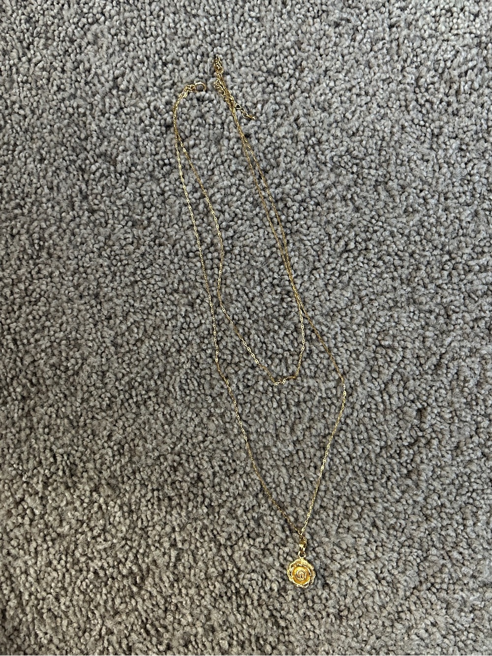 Revolve gold double layered long necklace